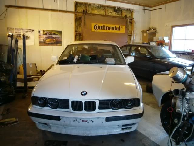 bmw5351.jpg