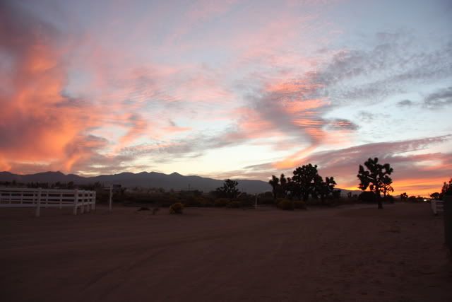 IMAGE: http://i3.photobucket.com/albums/y63/Calindy/IMG_3705.jpg