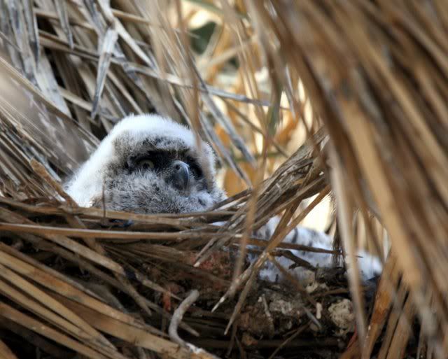 IMAGE: http://i3.photobucket.com/albums/y63/Calindy/IMG_4689-1.jpg