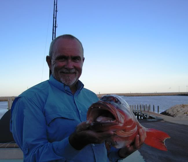 The 1st trout of the season 76cm