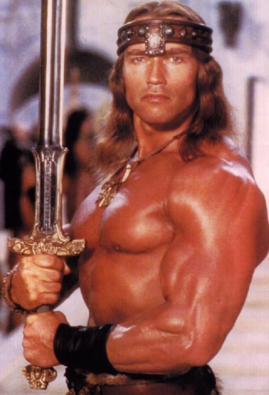 arnold-schwarzenegger-conan-the-barbarian_zps78a34ee6.jpeg