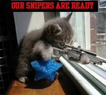 sniper_kitty.bmp