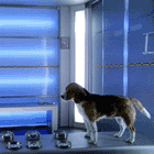 naughtyporthos4.gif