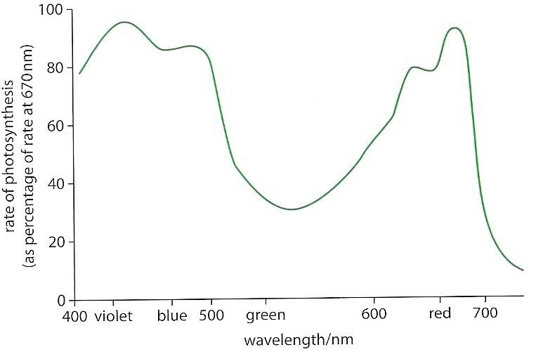 Action Spectrum Graph