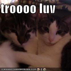 re: LOLcat maker!