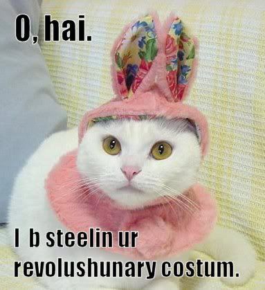 re: LOLcat maker!