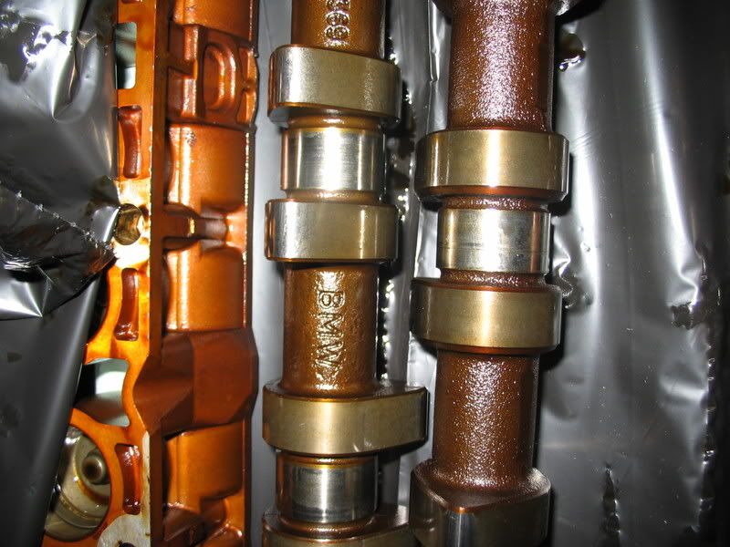 cam scoring how bad is bad?