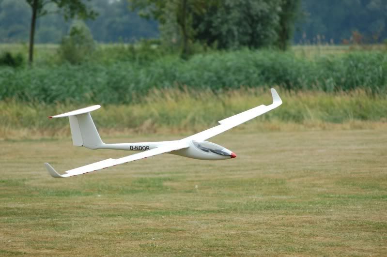 DSC_5225.jpg
