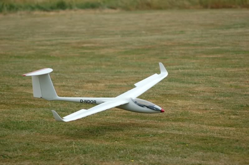 DSC_5226.jpg