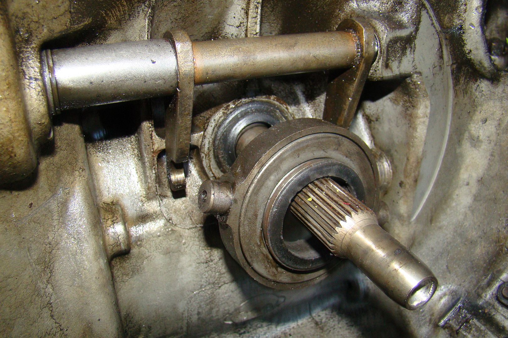 Image may have been reduced in size. Click image to view fullscreen.