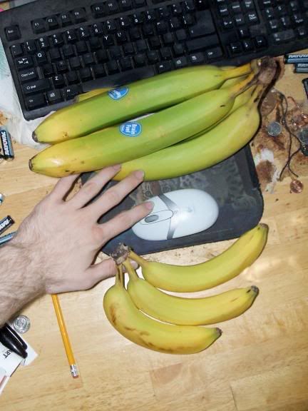 MyHugeBananas4.jpg