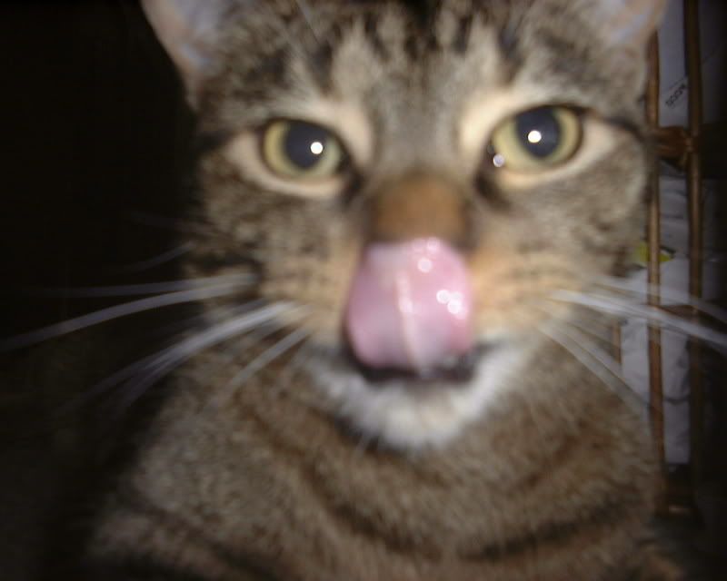 Posted Image