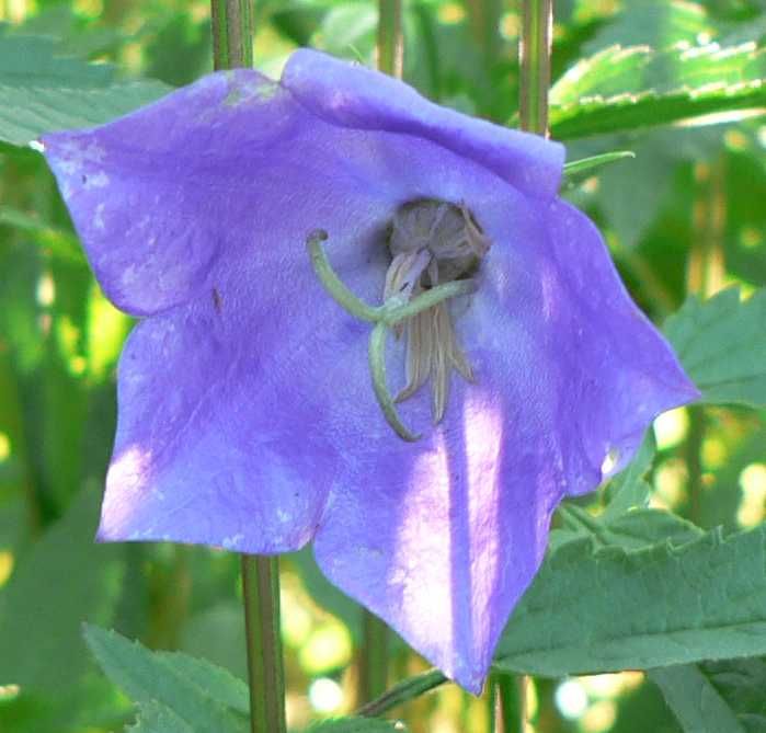 Image hosted by Photobucket.com