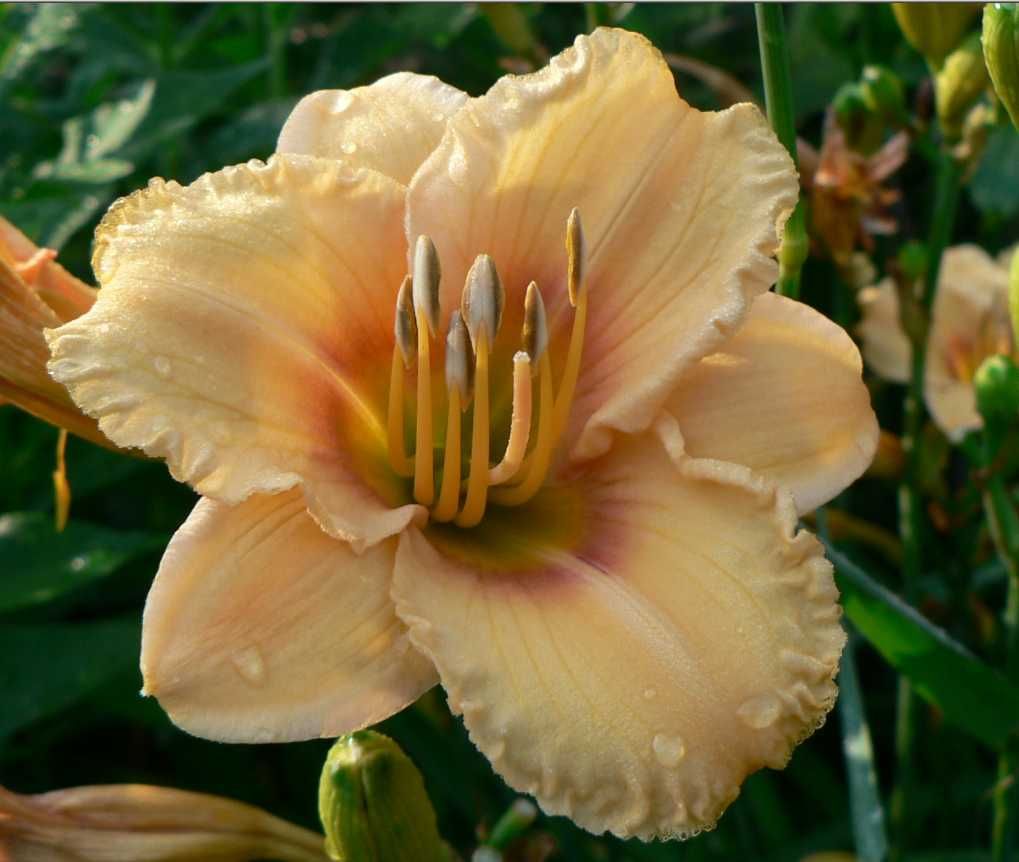 Image hosted by Photobucket.com