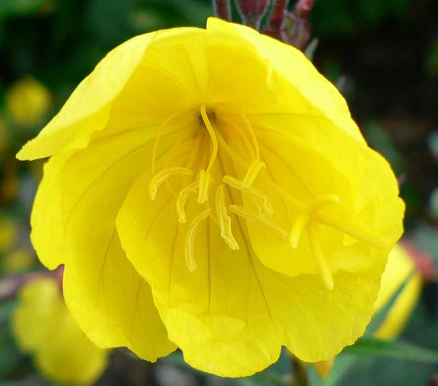 Image hosted by Photobucket.com