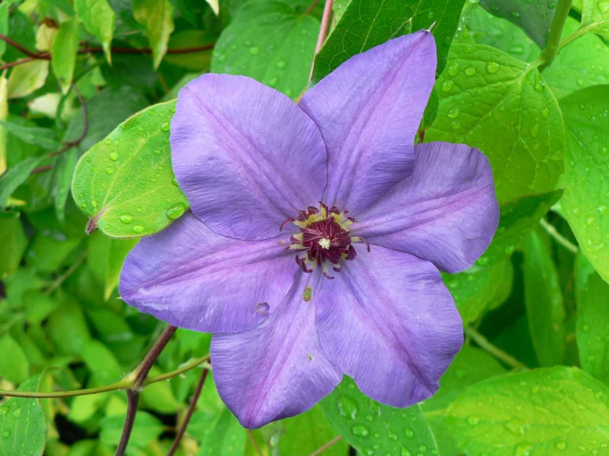 Image hosted by Photobucket.com