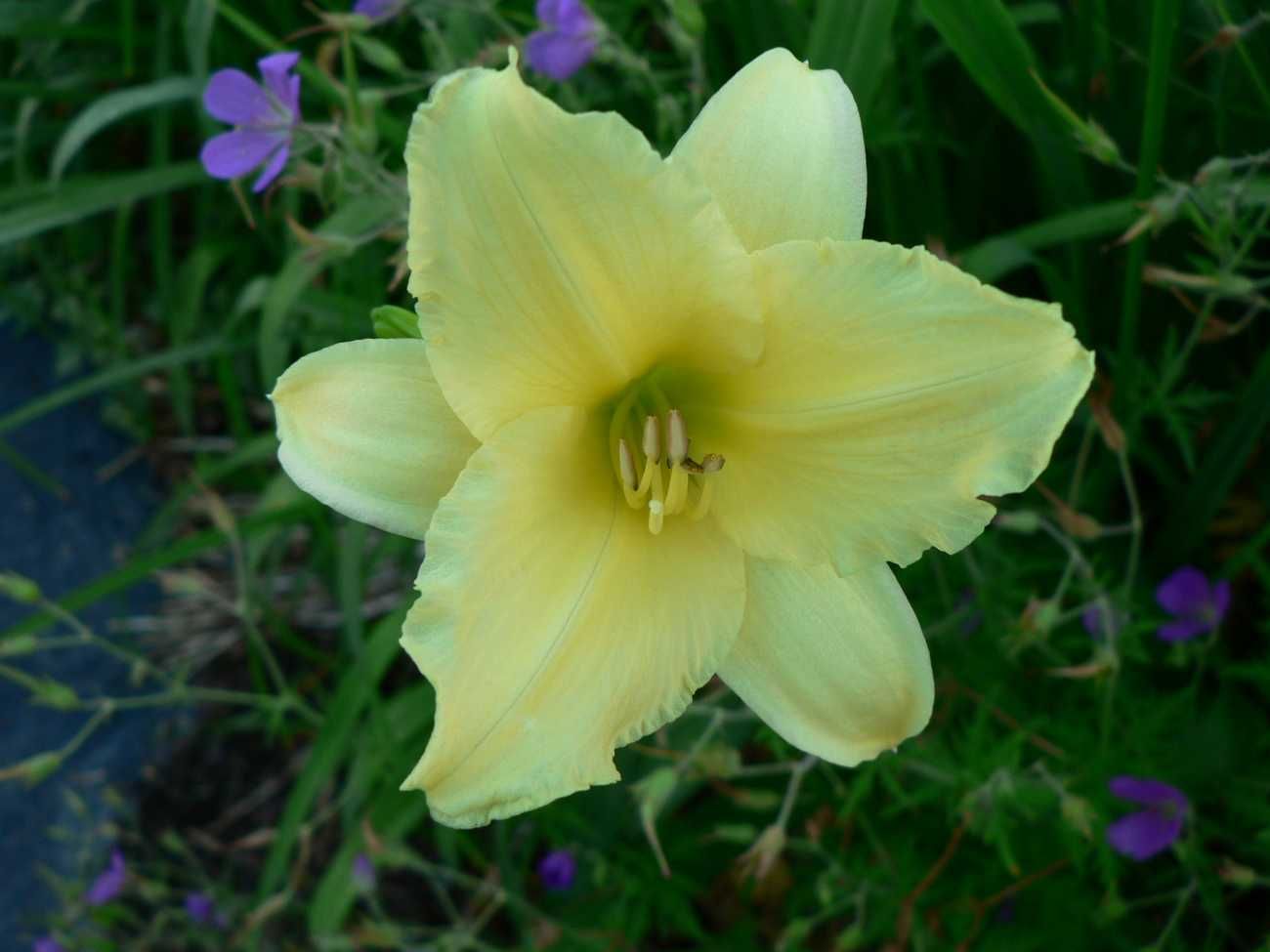 Image hosted by Photobucket.com