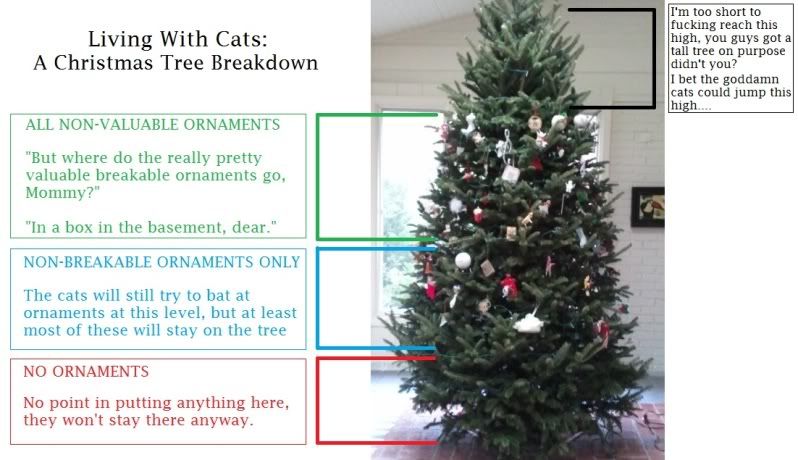 CatsChristmasTreeBreakdown.jpg