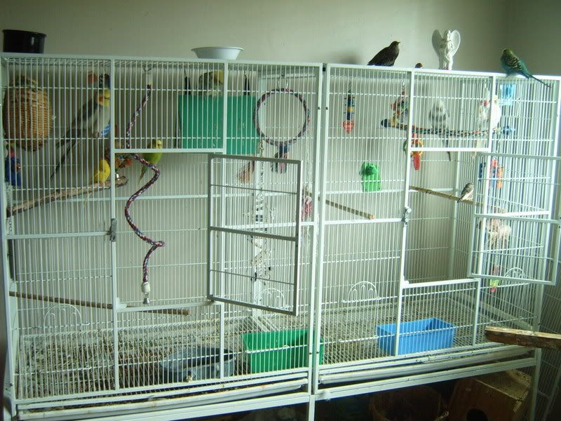 double flight bird cage