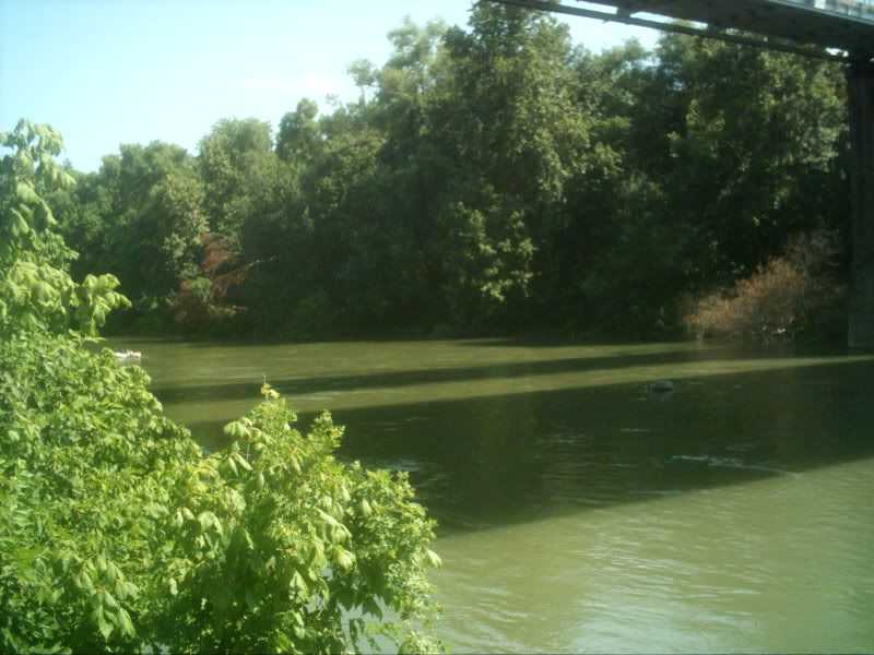 Image hosted by Photobucket.com