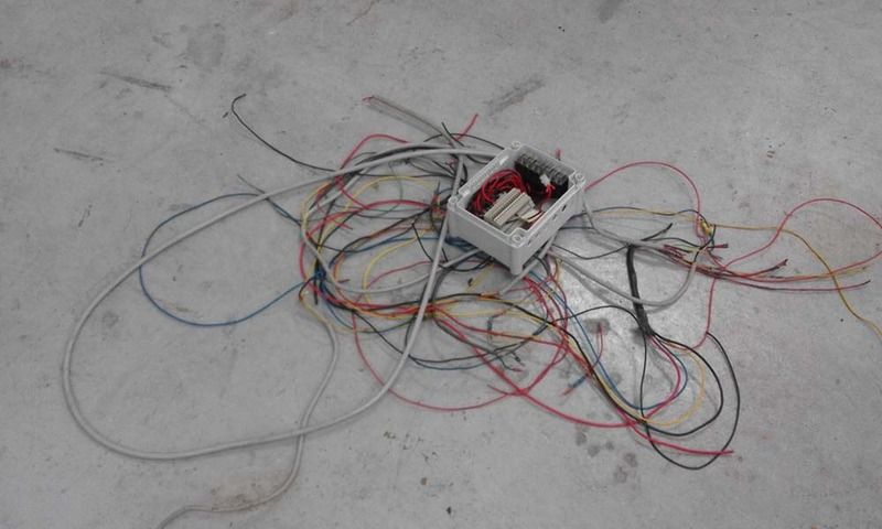 Bild