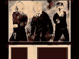 Harry, Ron & Hermione, Order of the Phoenix