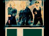 Harry, Ron & Hermione, Order of the Phoenix