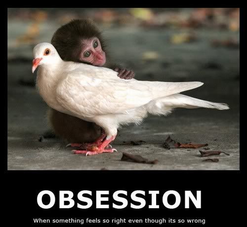 obsessionfx0.jpg