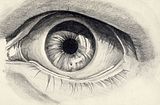 Eye See You