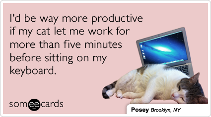 photo cat-on-keyboard-work-interruption-posey-pets-ecards-someecards_zps05853ea7.png