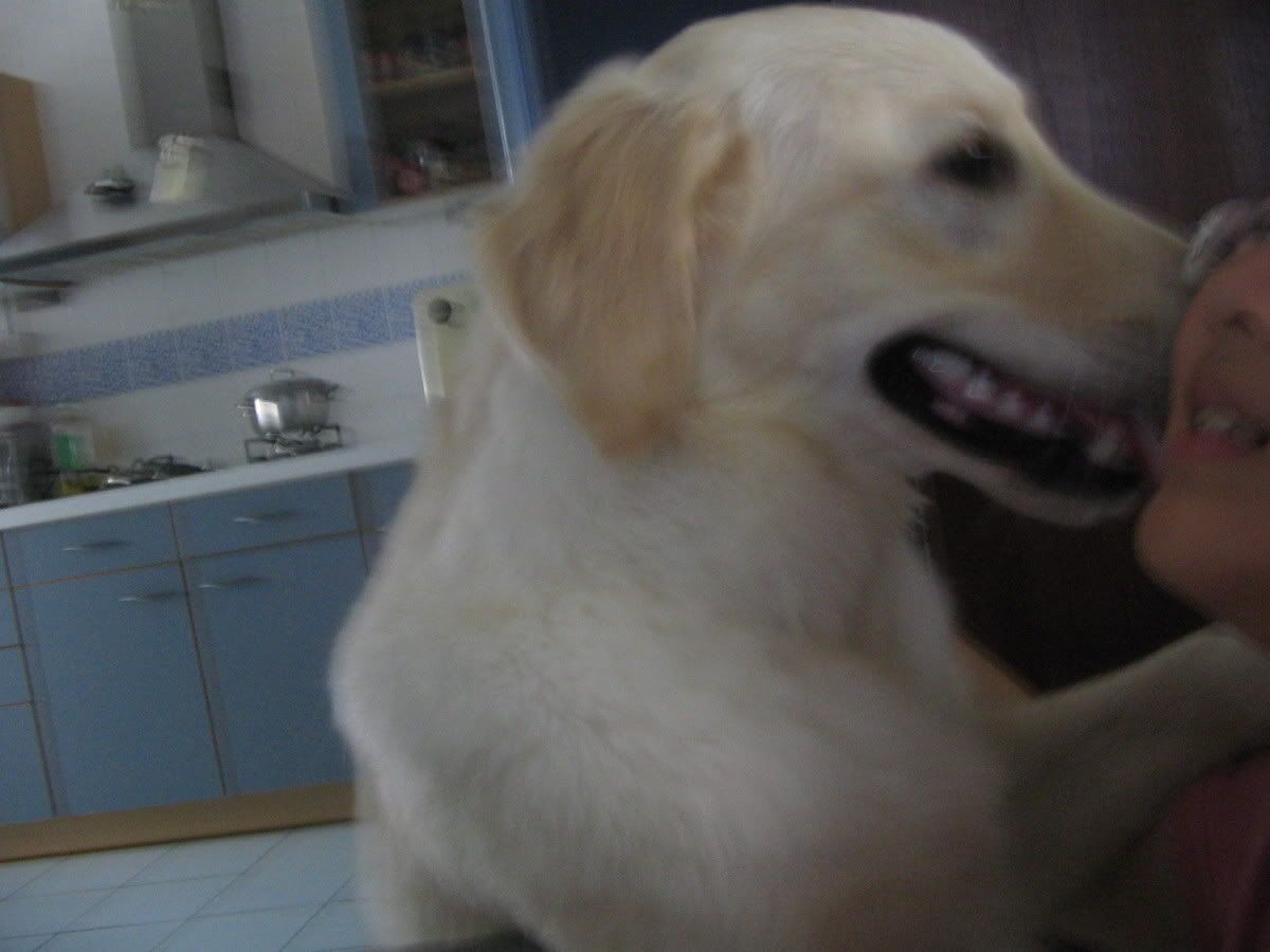 Image hosted by Photobucket.com