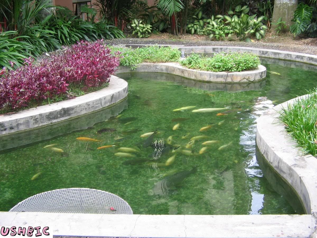 Image hosted by Photobucket.com