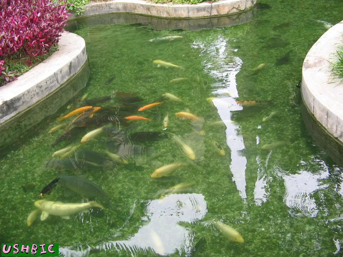 Image hosted by Photobucket.com