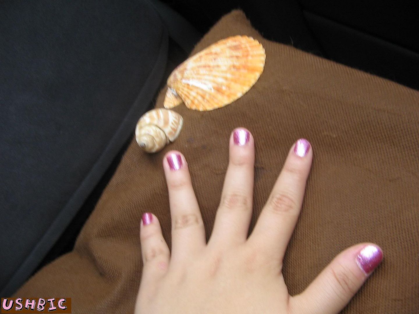 Image hosted by Photobucket.com