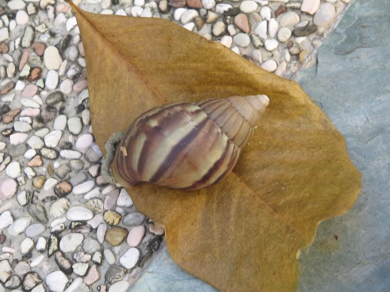 Image hosted by Photobucket.com