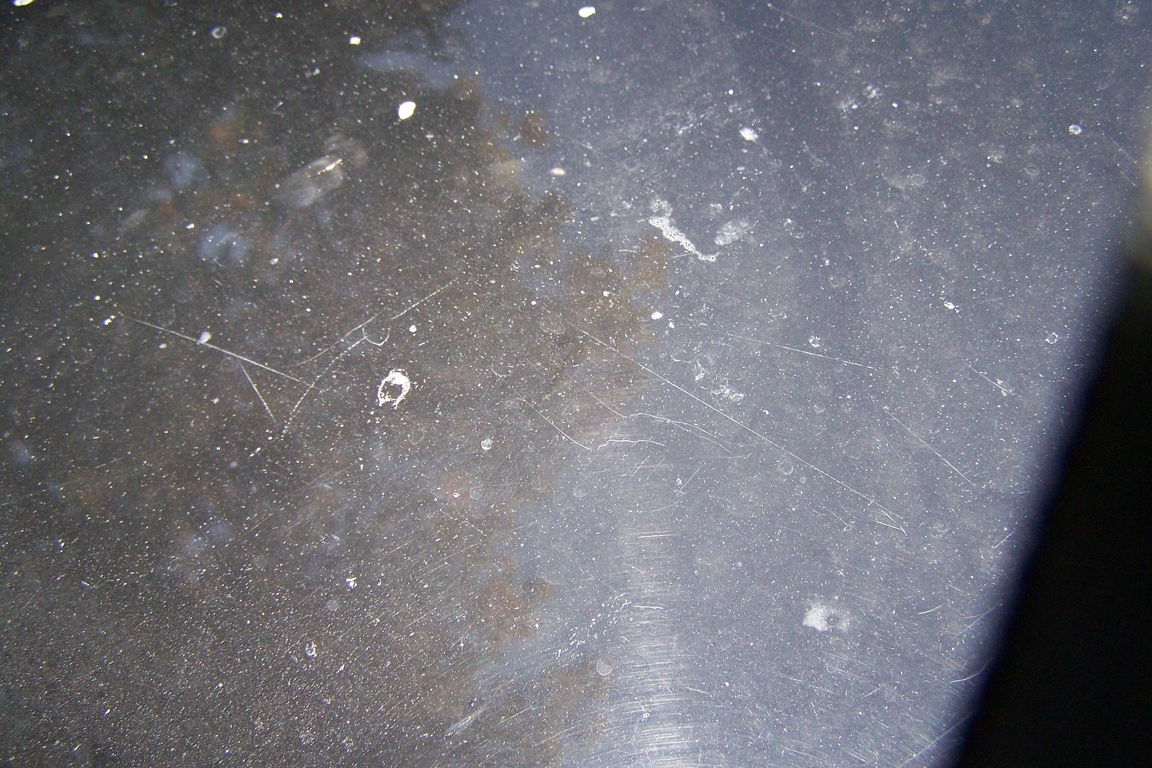 100_1788.jpg