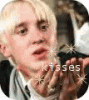 [Image: draco112.gif]