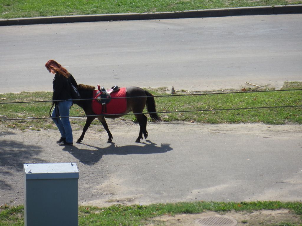Obrazek