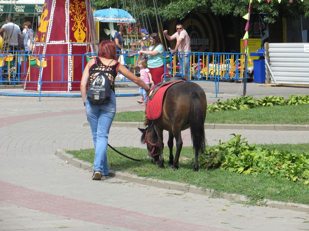 Obrazek