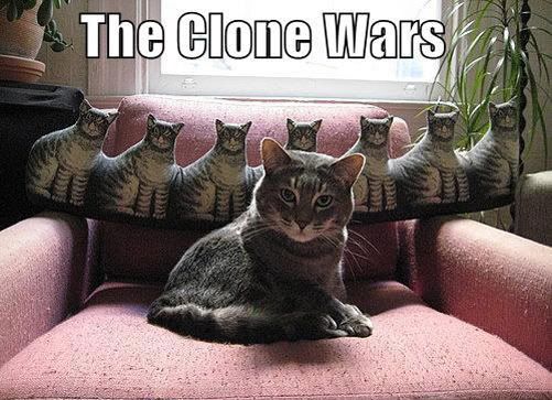 lolcat-clone-wars.jpg