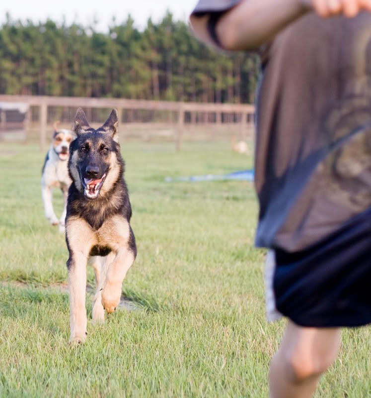 IMAGE: http://i3.photobucket.com/albums/y69/DreamCatcherK/dakota01.jpg