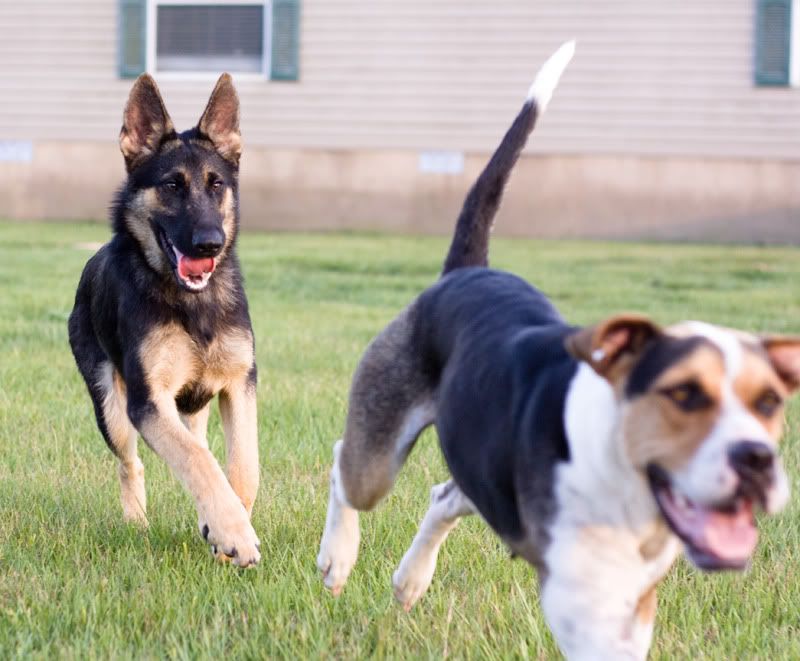 IMAGE: http://i3.photobucket.com/albums/y69/DreamCatcherK/dakota02.jpg