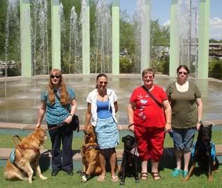 The Foundation For Service Dog Support