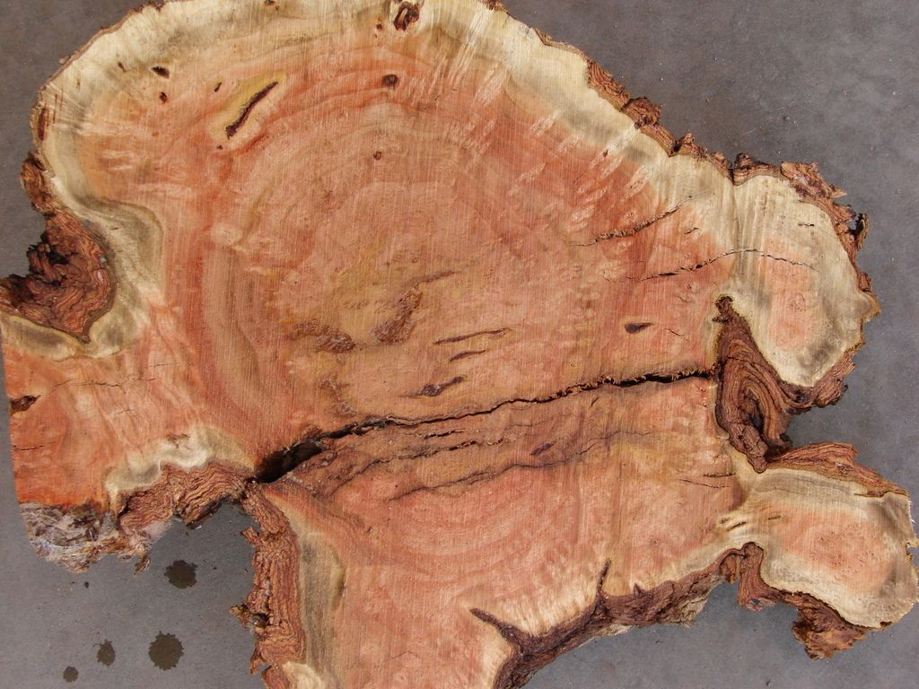 salt cedar Woodworking Talk Woodworkers Forum