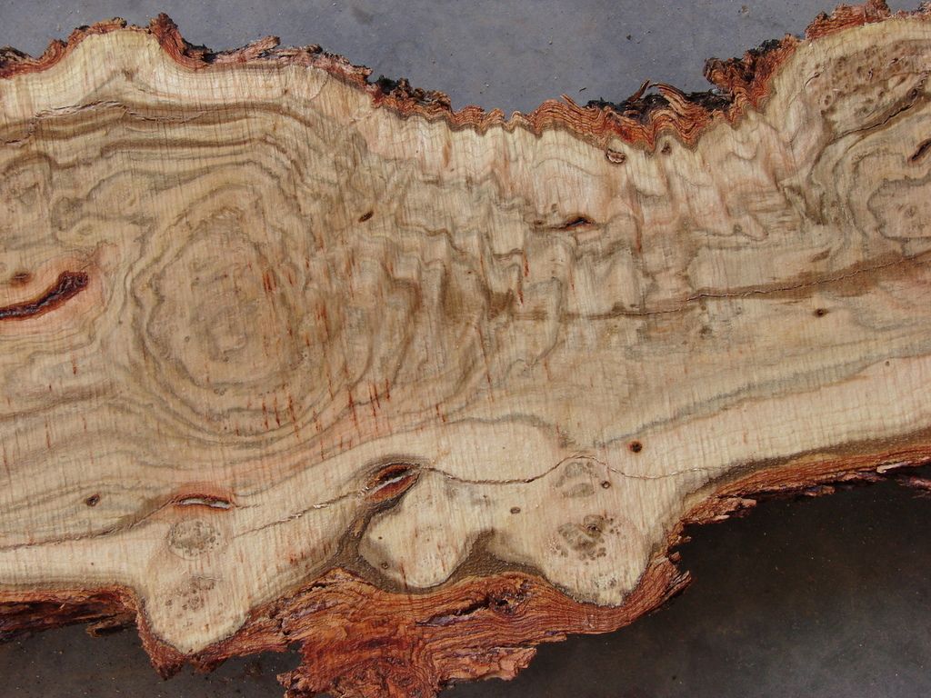 salt cedar Woodworking Talk Woodworkers Forum