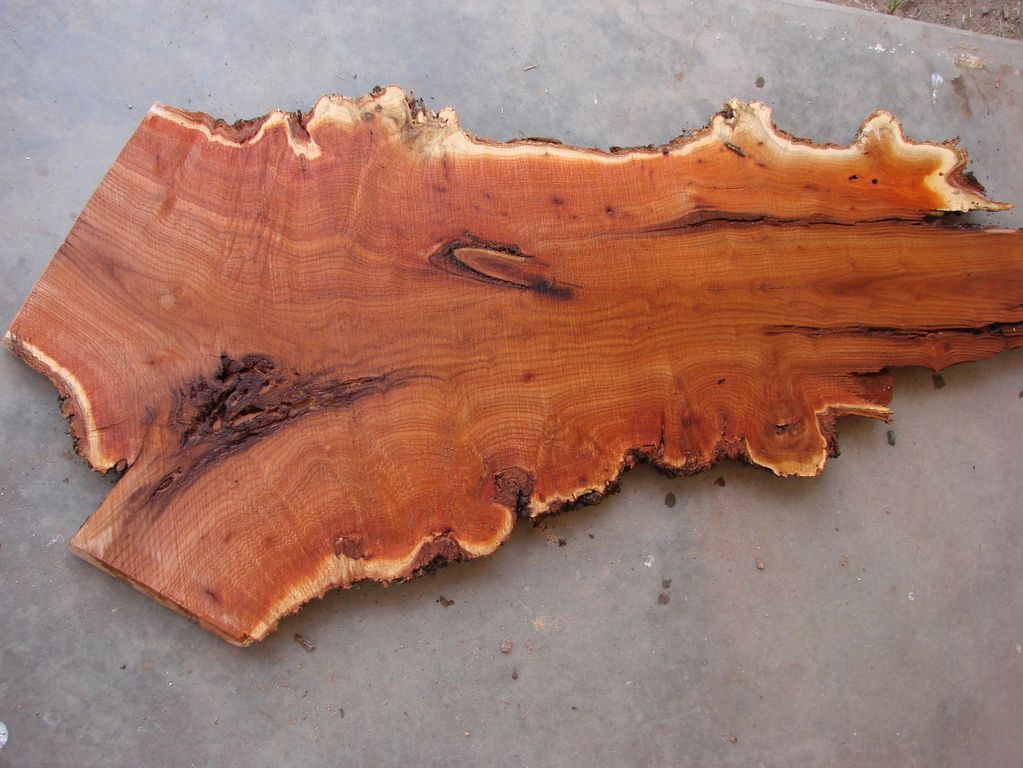 salt cedar Woodworking Talk Woodworkers Forum