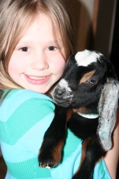 My New Buckling! -Pics- - Goats