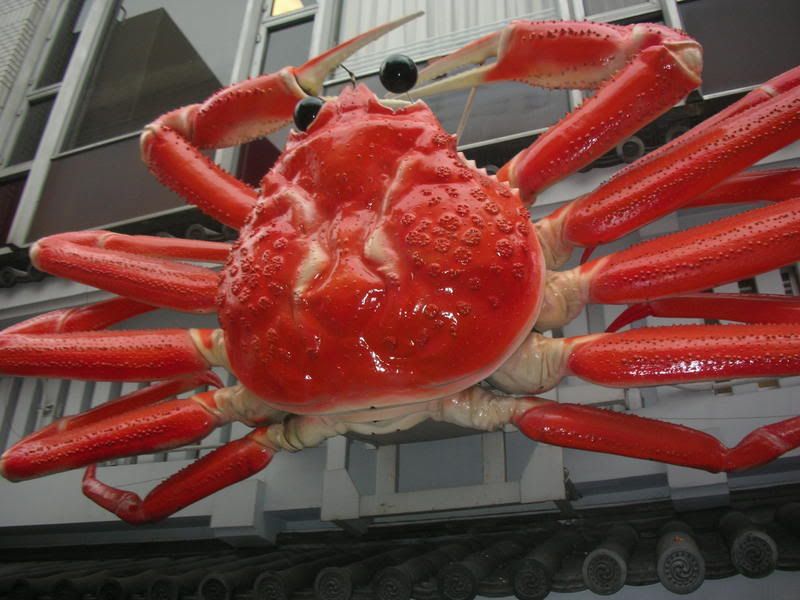 Huge crab