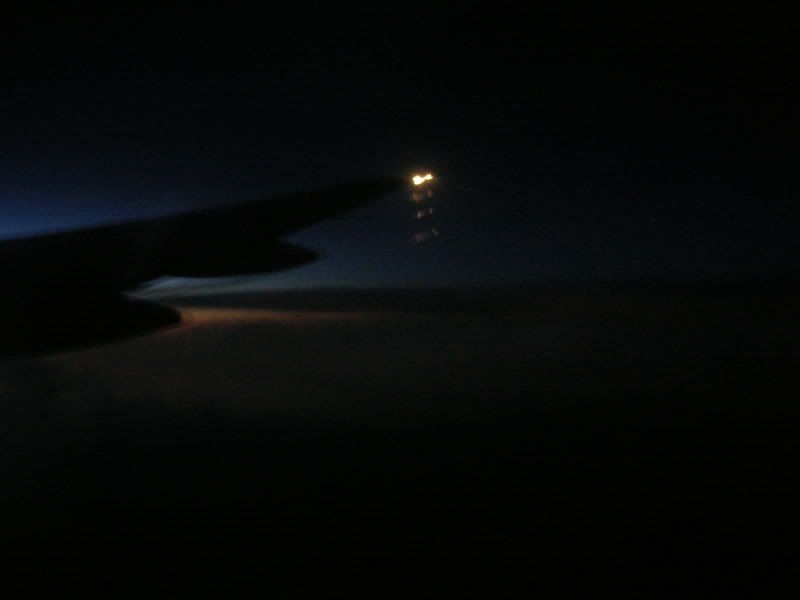 Night Wingview