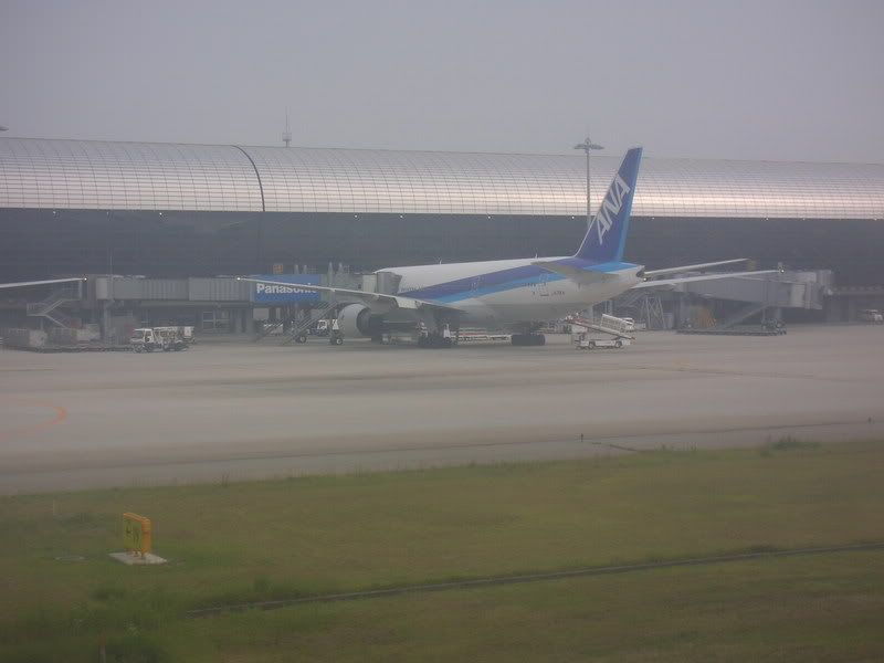 ANA 767